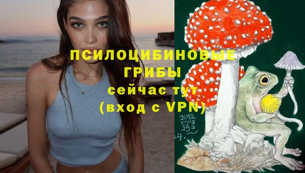 стафф Алексин