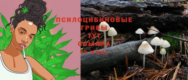 СК Алексеевка