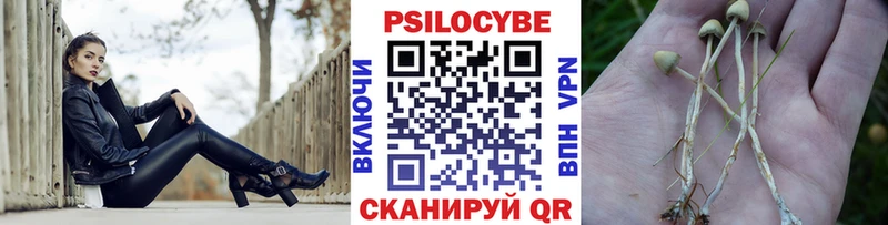 kraken как войти  Пыталово  Псилоцибиновые грибы мицелий 