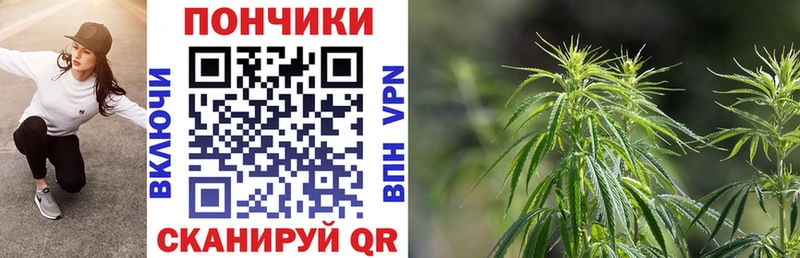Бошки Шишки THC 21%  продажа наркотиков  Пыталово 